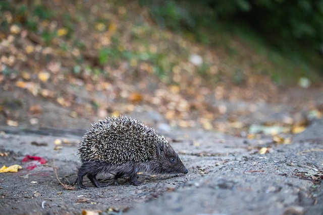 团队合作与 团队合作与