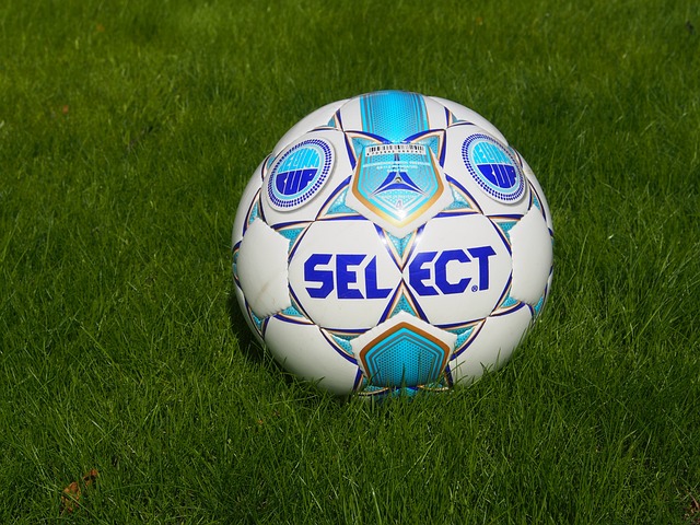 在全球食品 在全球食品