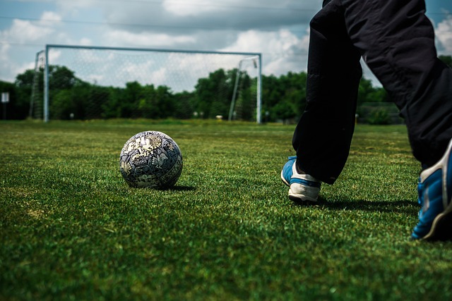 尽管詹姆斯 尽管詹姆斯