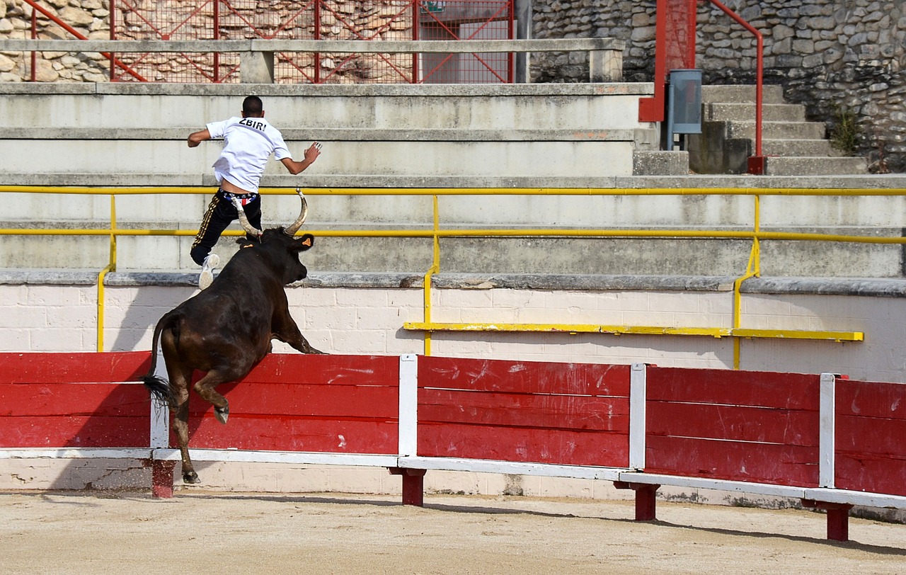 Donči