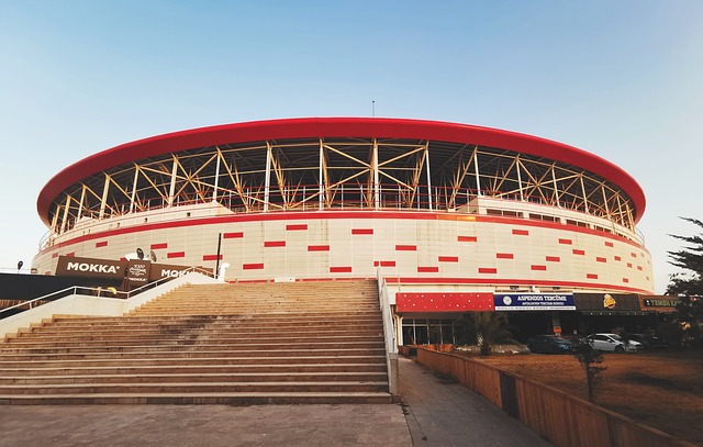 从质疑到信 从质疑到信