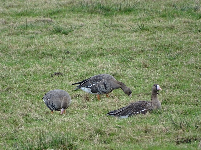 随后再通过 随后再通过