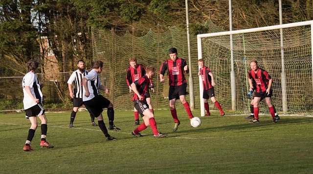 了不少争议 了不少争议